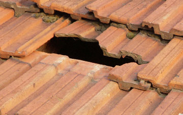 roof repair Pontfadog, Wrexham