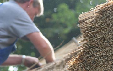 professional Pontfadog thatchers