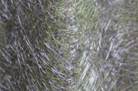 Pontfadog fibreglass roof work